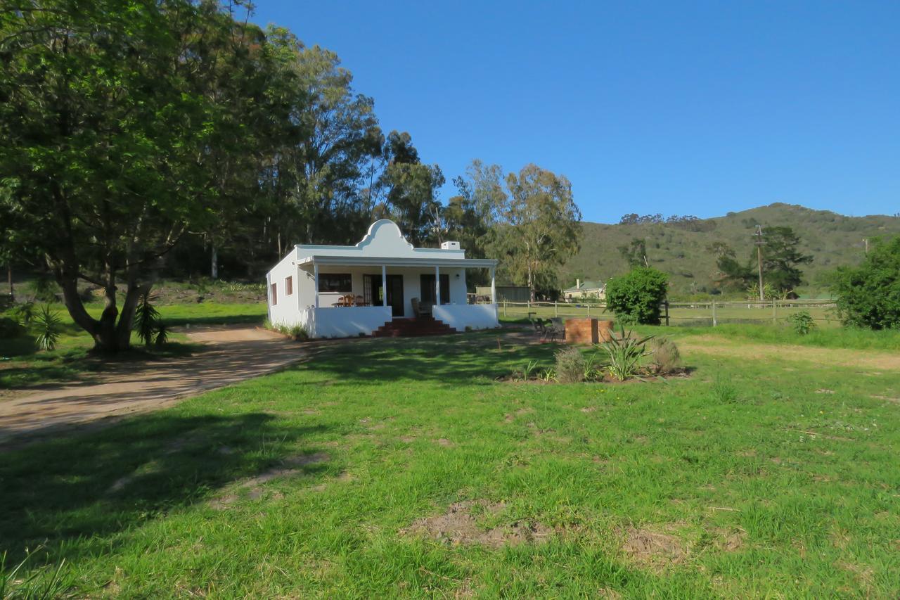 Out Of Plett * Plettenberg Bay