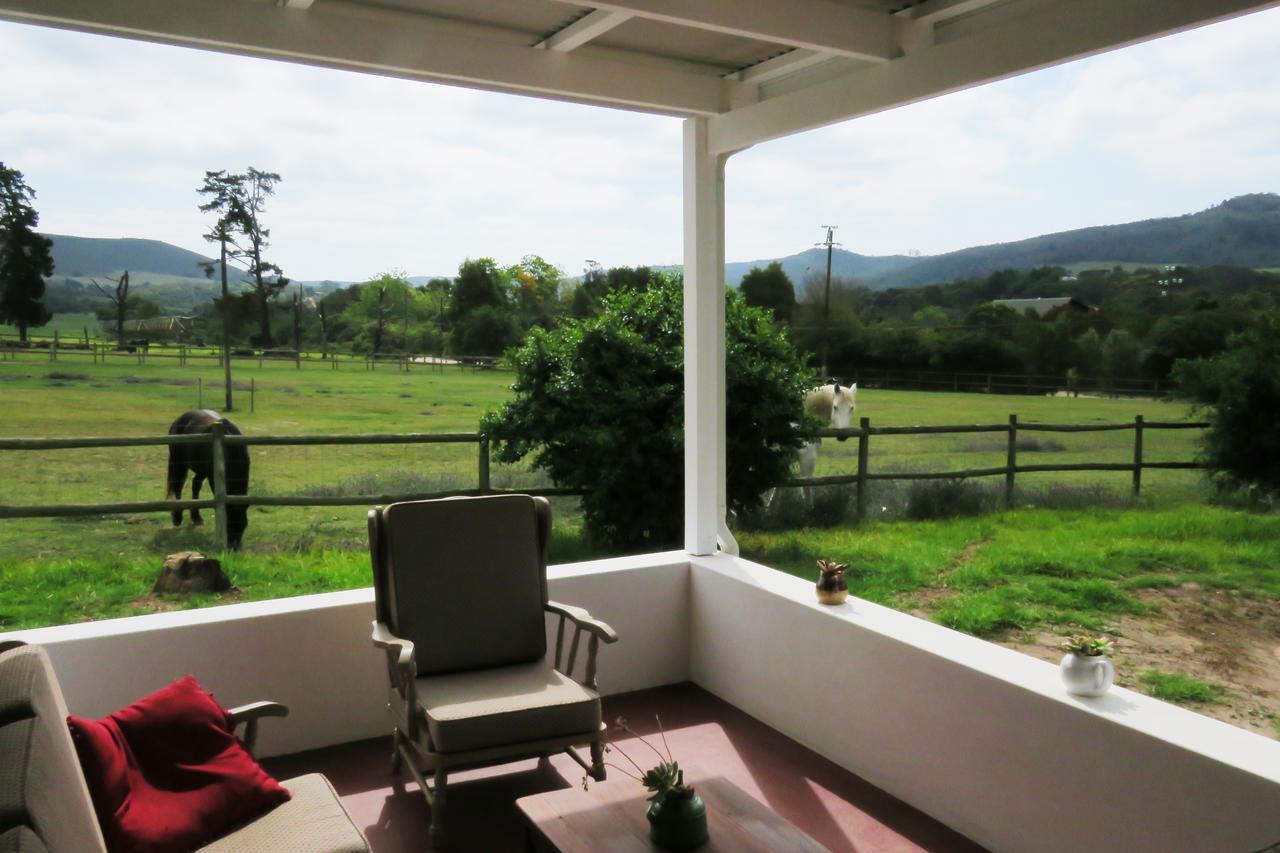 Out Of Plett Ferienhaus Plettenberg Bay